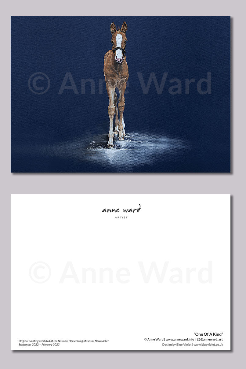 Ten assorted postcards featuring paintings by Anne Ward of enchanting Thoroughbred foals and famous retired racehorses. Displayed here is foal study "One Of A Kind".