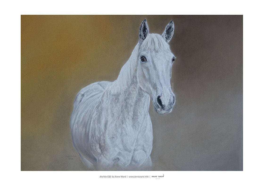 Pastel painting by Anne Ward of beautiful grey Thoroughbred mare, Alwilda (GB).