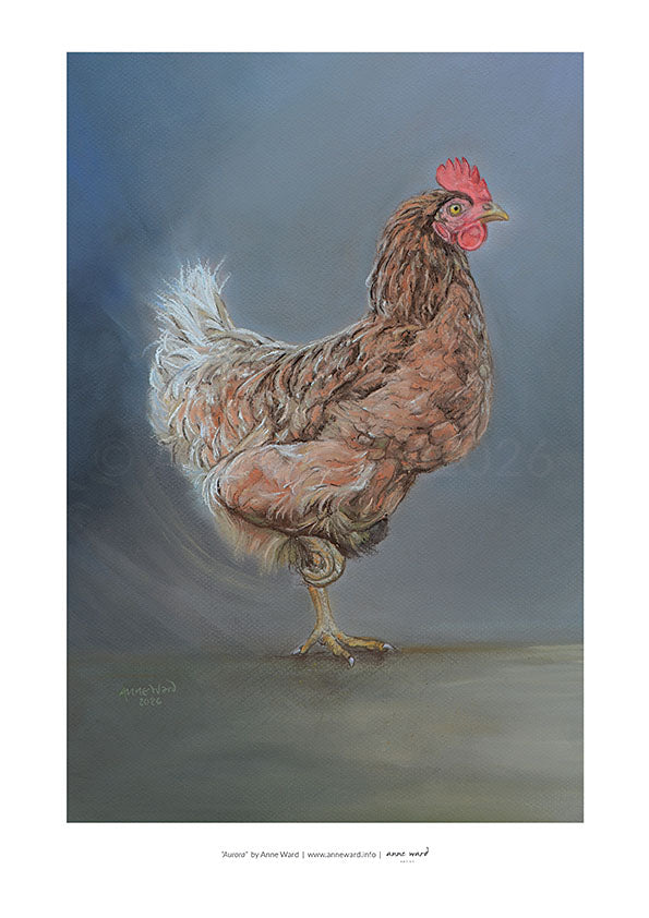 A3 print entitled "Aurora" by Anne Ward, of hen in motion