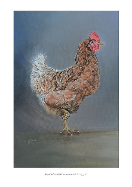 A3 print entitled "Aurora" by Anne Ward, of hen in motion