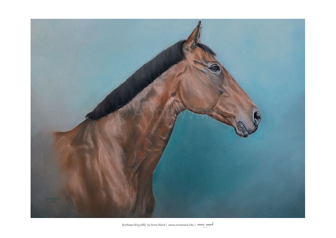 Pastel portrait by Anne Ward of remarkable racehorse Balthazar King (IRE), who excelled over the longest distances in steeplechasing.