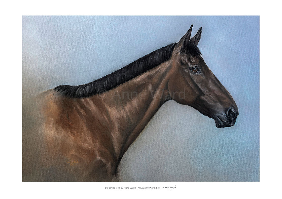 Pastel painting by Anne Ward of record-breaking racehorse Big Buck's (FR)