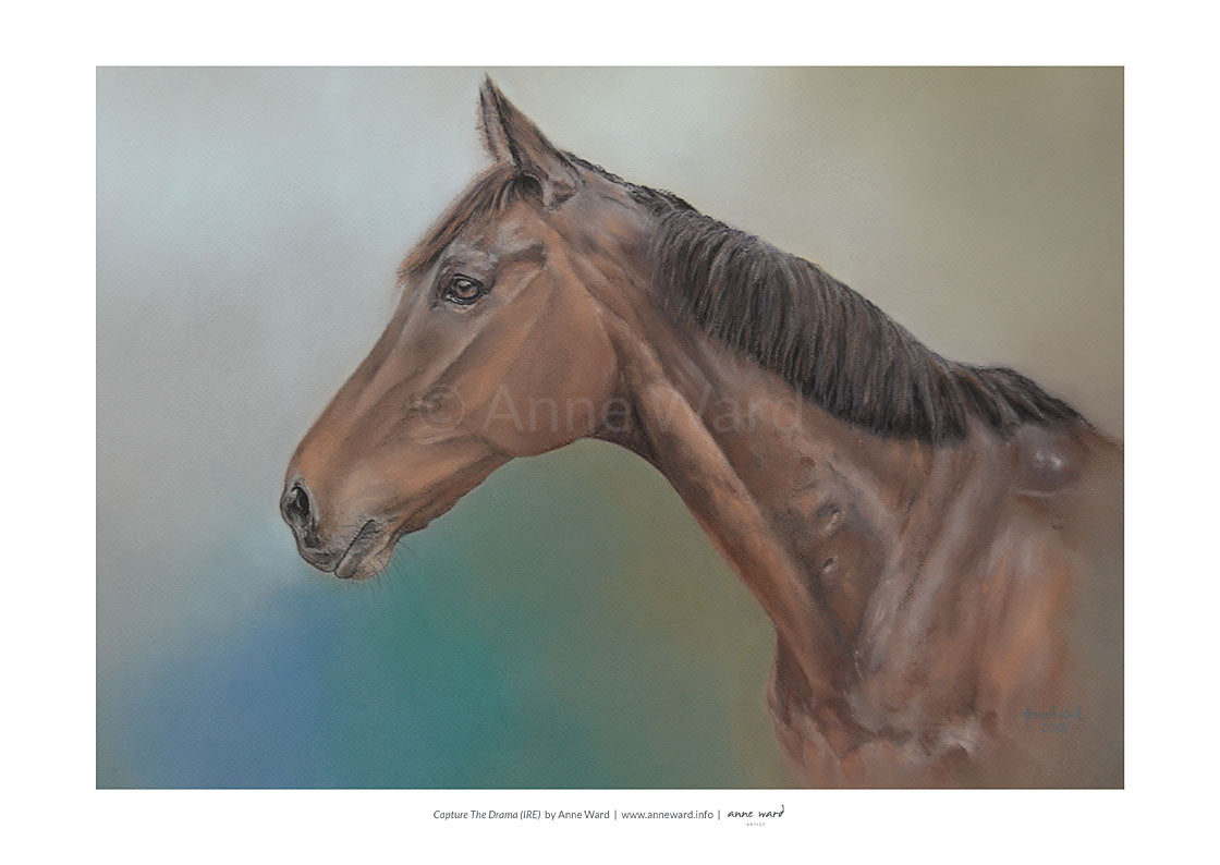 A3 Print by Anne Ward of celebrated racehorse, Capture The Drama.