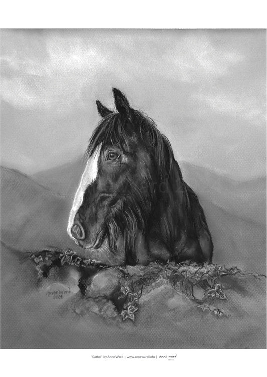 A4 print of charcoal by Anne Ward of Irish cob gazing over a stone wall with misty mountains behind.