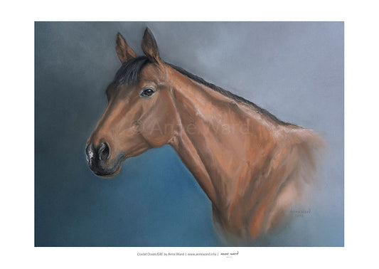 Pastel portrait by Anne Ward of Crystal Ocean (GB), jointly Longines World Racehorse of the Year in 2019.