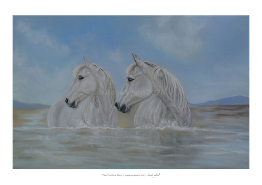 Pastel painting entitled "Eden", by Anne Ward, of two grey horses in a west Donegal coastal inlet.