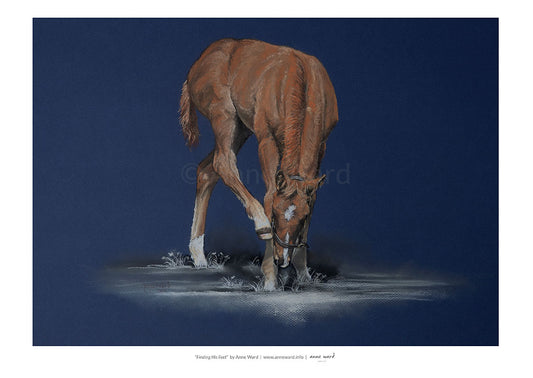 Pastel painting entitled "Finding His Feet", by Anne Ward, of chesnut Thoroughbred colt foal in moonlit setting.