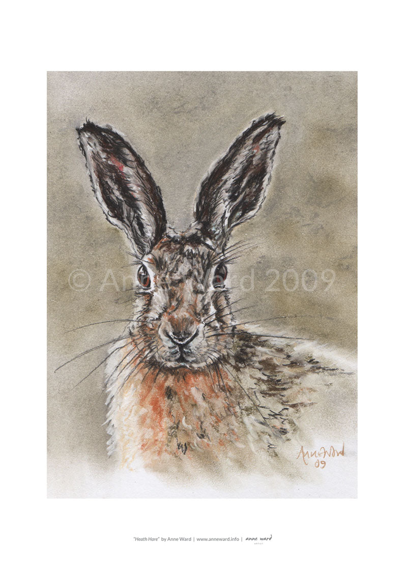 Pastel painting entitled "Heath Hare", by Anne Ward.