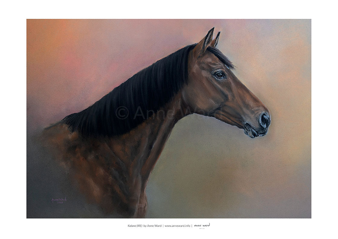 Pastel portrait by Anne Ward of Thoroughbred bay mare, Kalane (IRE), a Listed steeplechase winner and sister to Kalashnikov (IRE)