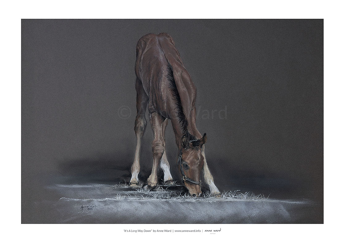 Pastel painting entitled "It's A Long Way Down", by Anne Ward, of bay Thoroughbred colt foal in moonlit setting.