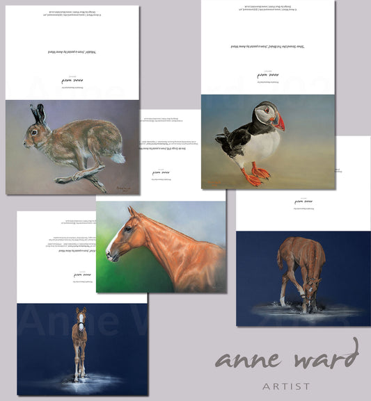 Selection of 5 x Greetings Cards featuring artwork by Anne Ward