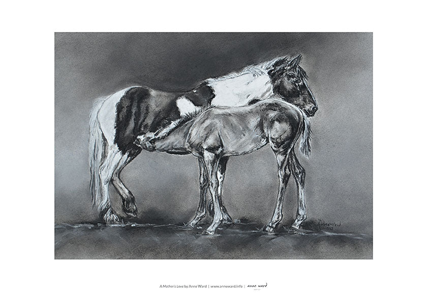 Pastel sketch by Anne Ward of orphaned Thoroughbred foal with his new mother