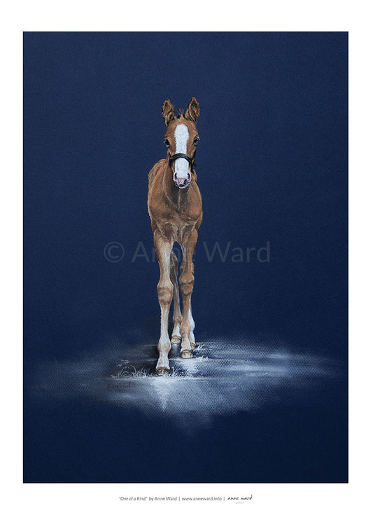 Pastel painting entitled "One of a Kind", by Anne Ward, of chesnut Thoroughbred colt foal in moonlit setting.