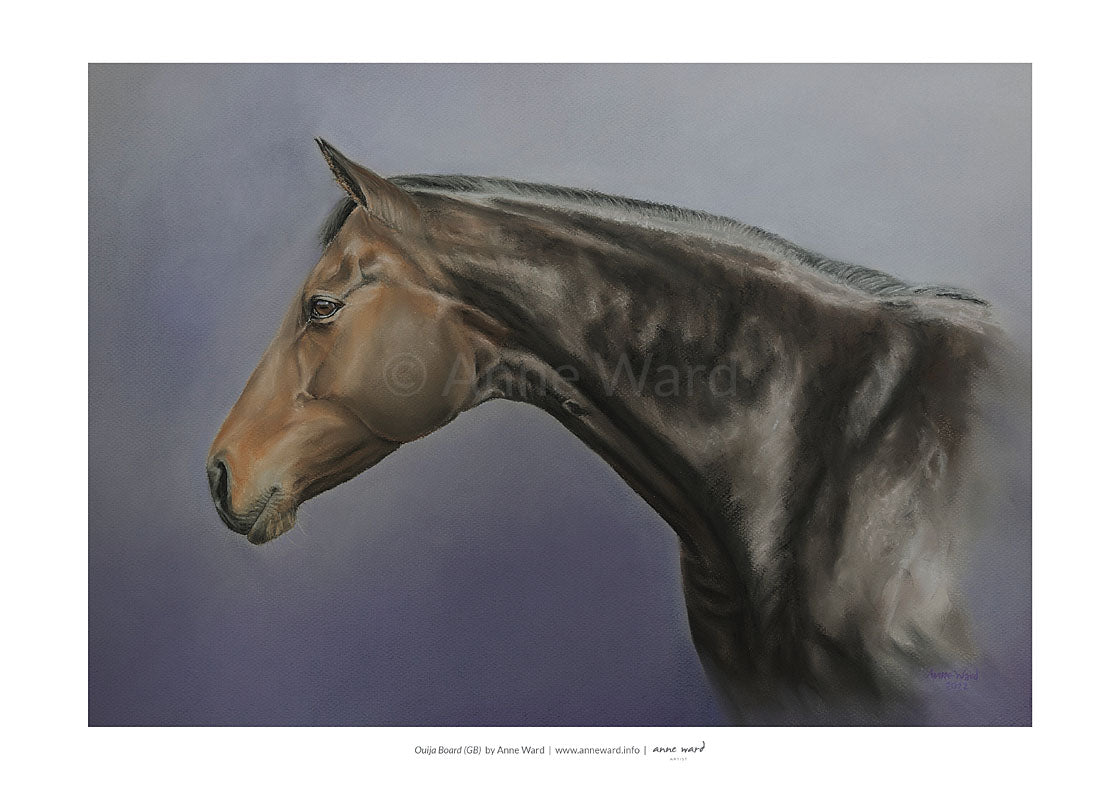 Pastel portrait by Anne Ward of racehorse and broodmare, Ouija Board (GB), a dual Classic winner and dam of Derby winner, Australia (GB).