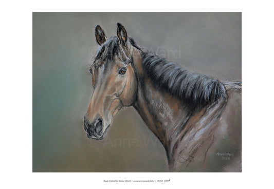 Pastel sketch by Anne Ward of popular racehorse, Rudy Catrail (IRE)