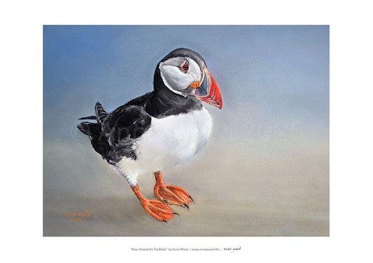 A3 print on 250 gsm silk finish paper of pastel painting by Anne Ward, entitled "Silver Strand". The subject is a puffin, pictured a stone's throw away from his usual habitat on the rocky cliffs of Rathlin O'Birne, and perhaps having a moment of calm and solitude on the beautiful Silver Strand.