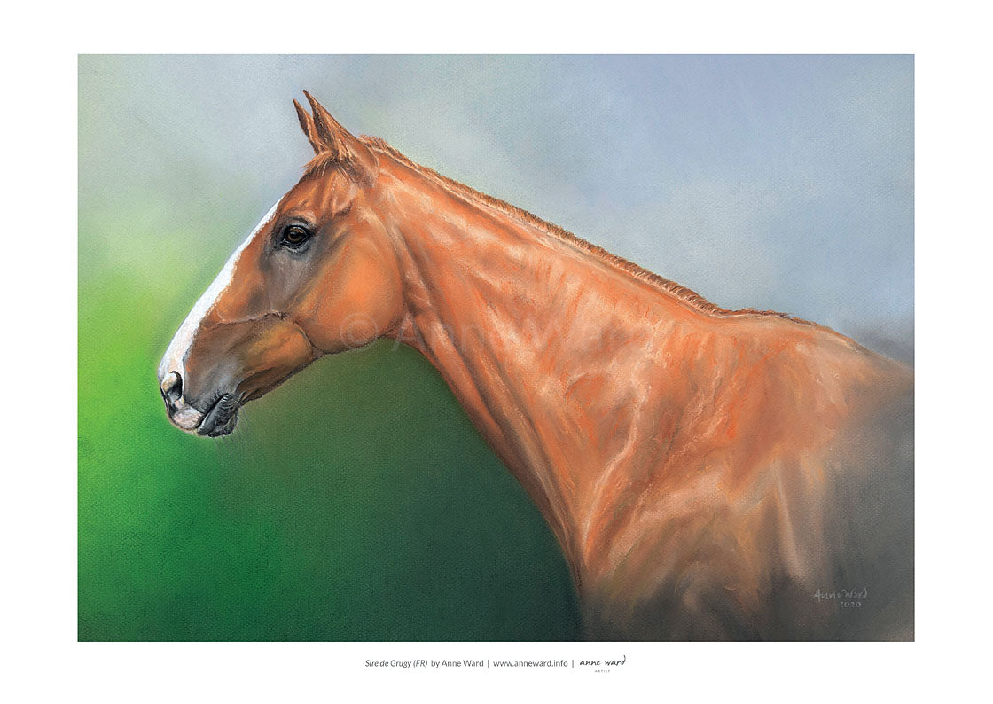 Pastel portrait by Anne Ward of Sire de Grugy (FR), a champion two-mile-steeplechaser.