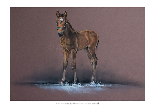 Pastel painting entitled "A Star To Remember", by Anne Ward, of bay Thoroughbred colt foal in moonlit setting.