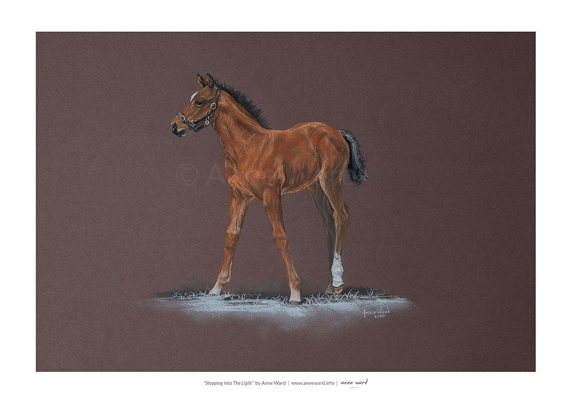 Pastel painting entitled "Stepping Into The Light", by Anne Ward, of bay Thoroughbred filly foal in moonlit setting.