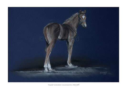 Pastel painting entitled "Tranquillity", by Anne Ward, of chesnut Thoroughbred colt foal in moonlit setting.