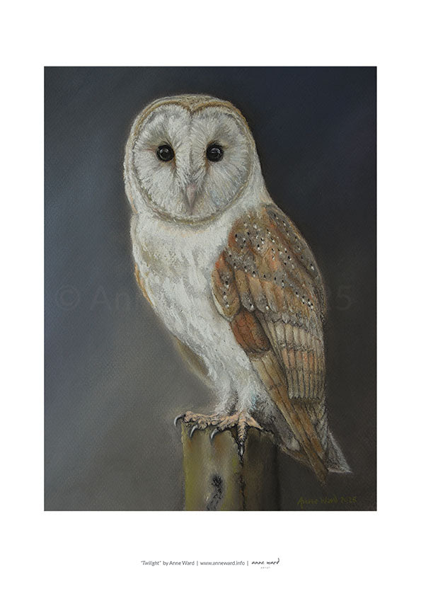 A4 print on 250 gsm silk finish paper of pastel painting by Anne Ward, entitled "Twilight". A barn owl pauses in the moments between day and night. Has she spotted her prey under that intense gaze?