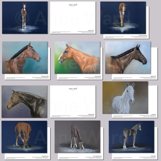 Ten assorted postcards featuring paintings by Anne Ward of enchanting Thoroughbred foals and famous retired racehorses.