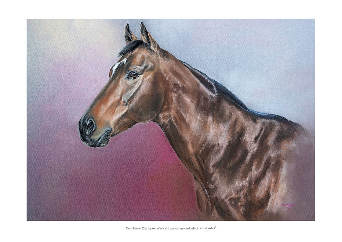 Pastel portrait by Anne Ward of champion racehorse and stallion, Oasis Dream (GB).